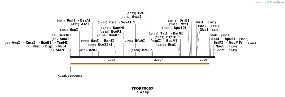 279467_map