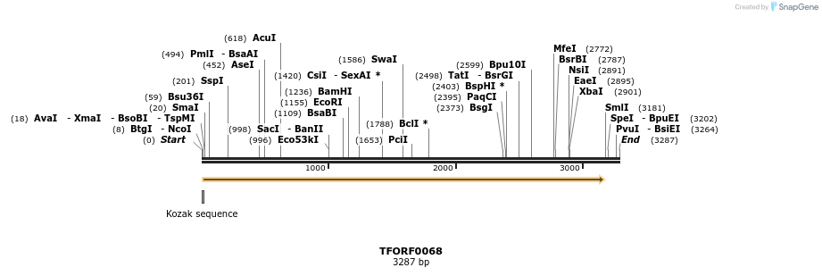 279470_map