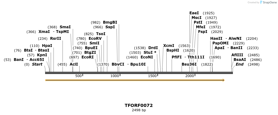 279479_map