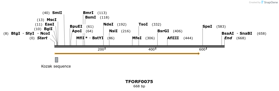 279482_map