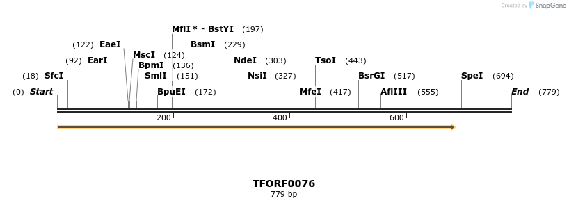 279485_map