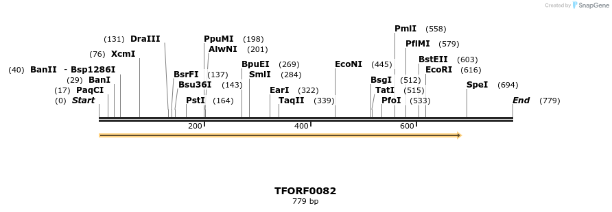 279494_map