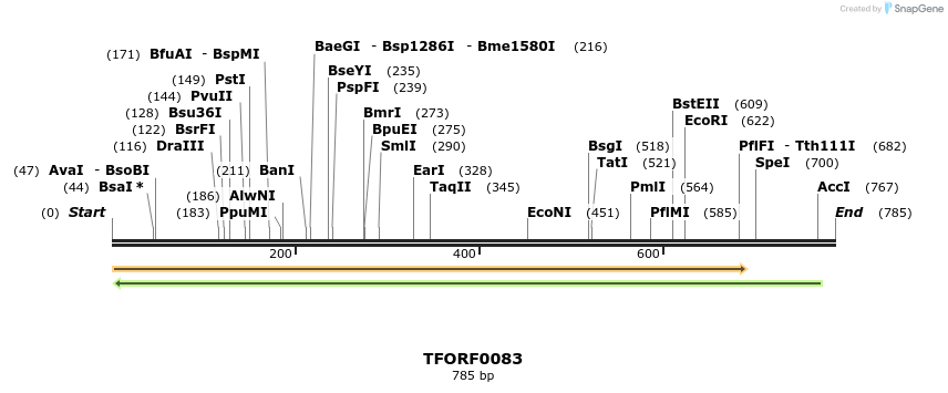 279497_map