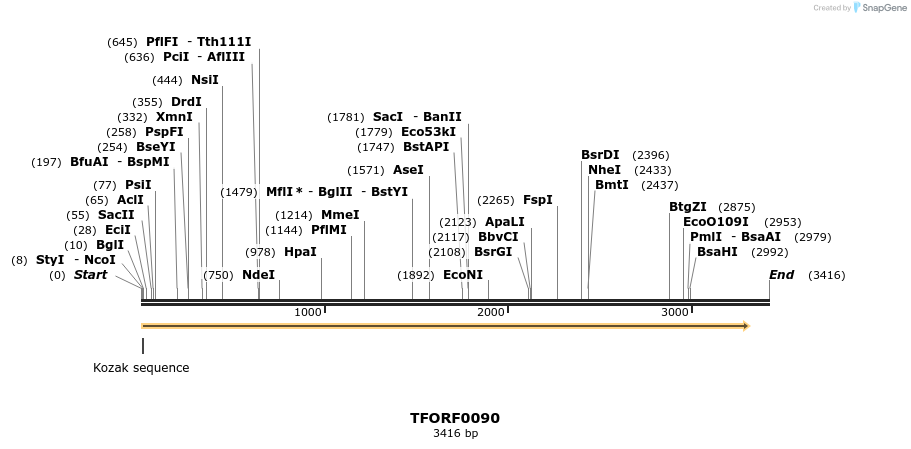 279506_map
