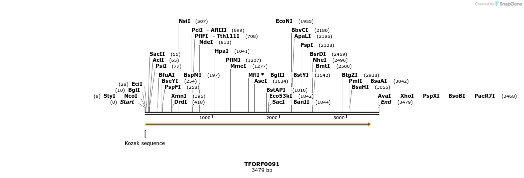 279509_map