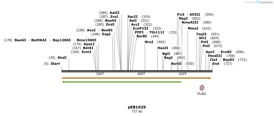 27952_map