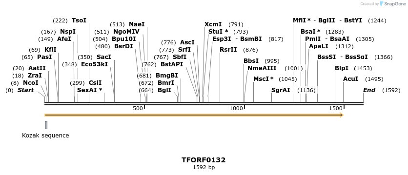 279521_map