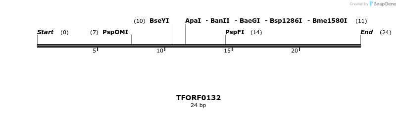 279522_map