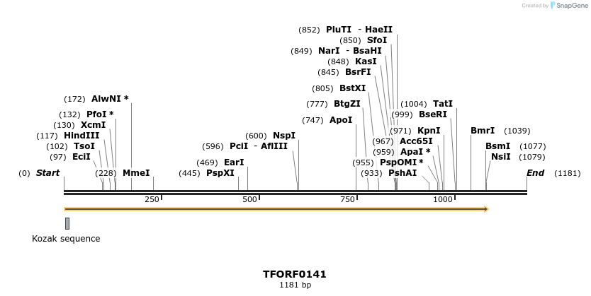 279524_map