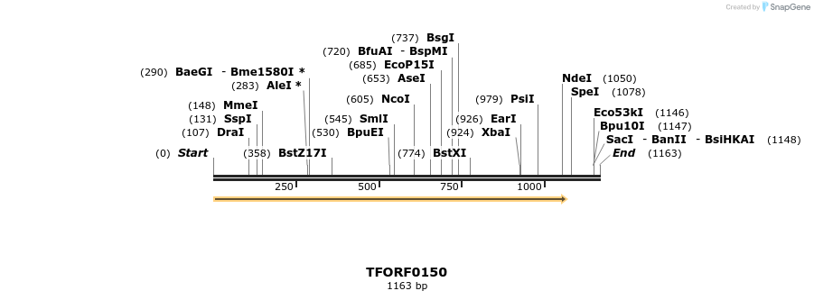 279533_map