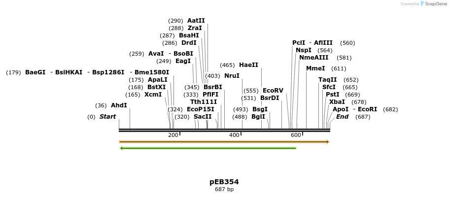27954_map
