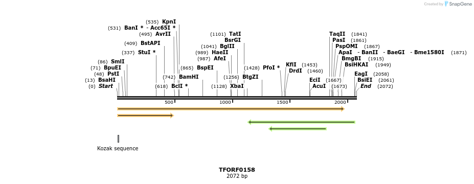 279545_map