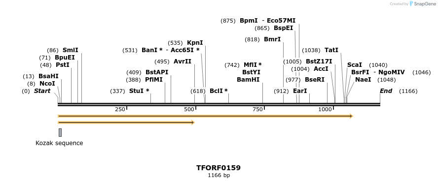 279548_map