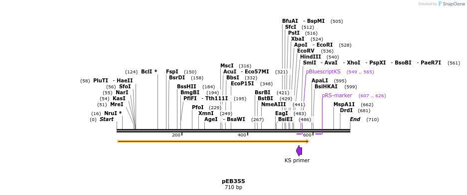 27955_map