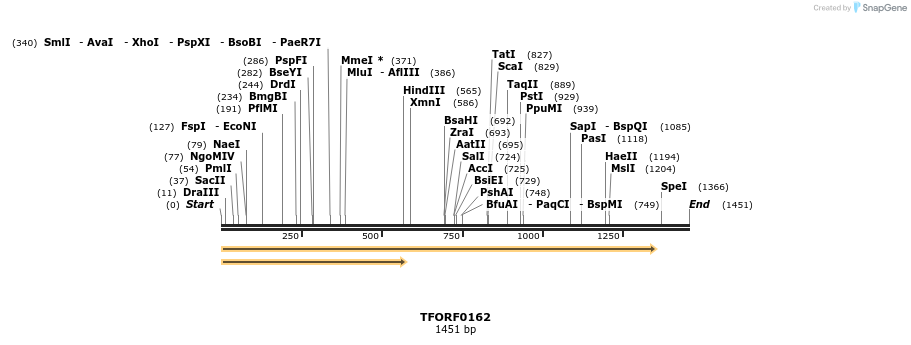 279551_map