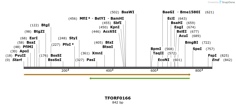 279557_map