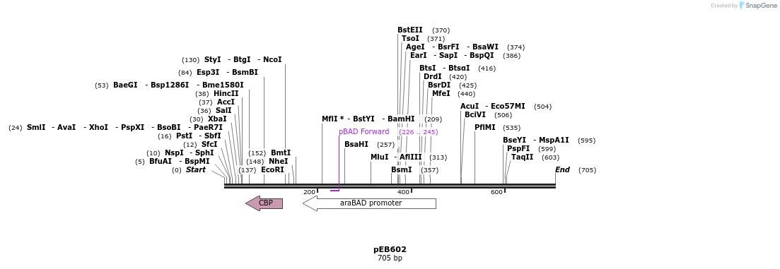 27956_map