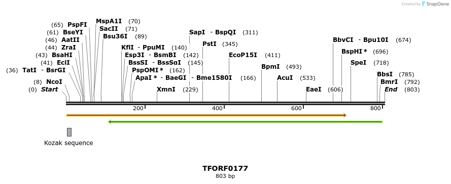 279563_map
