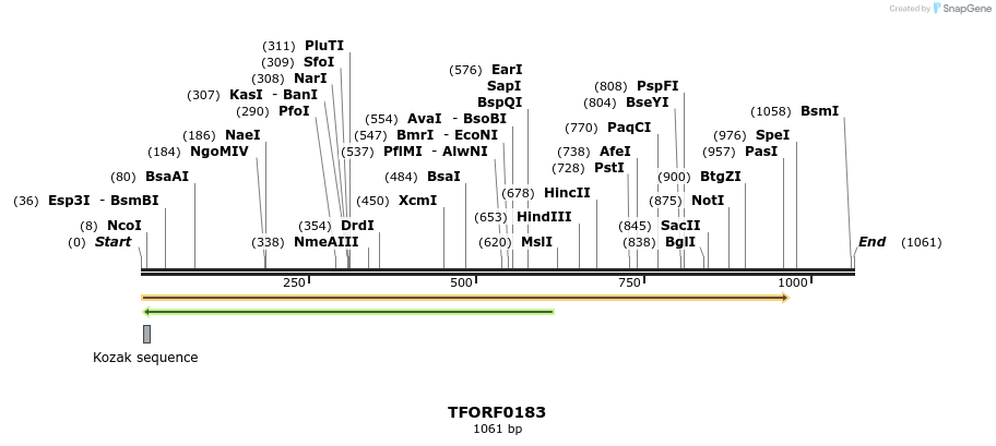 279566_map