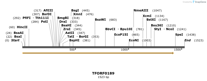 279572_map
