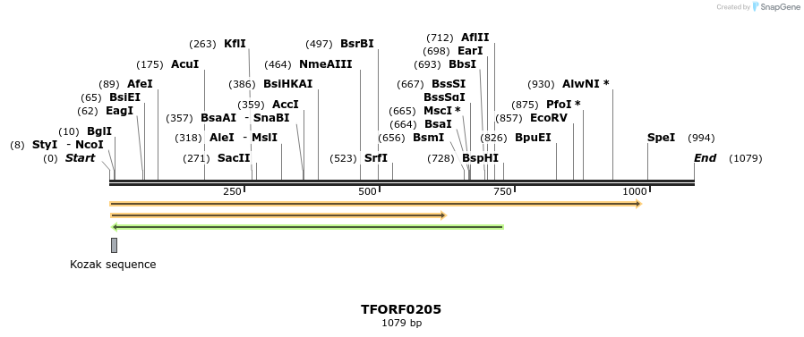 279584_map
