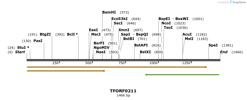 279590_map