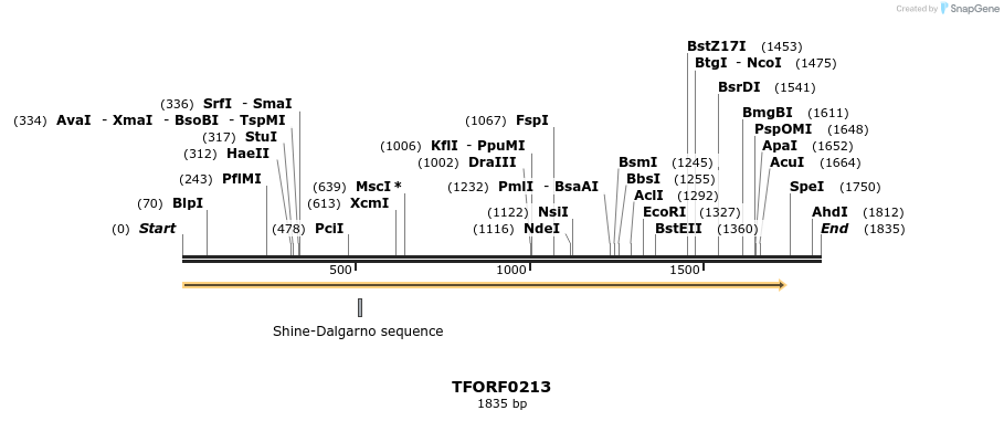 279593_map