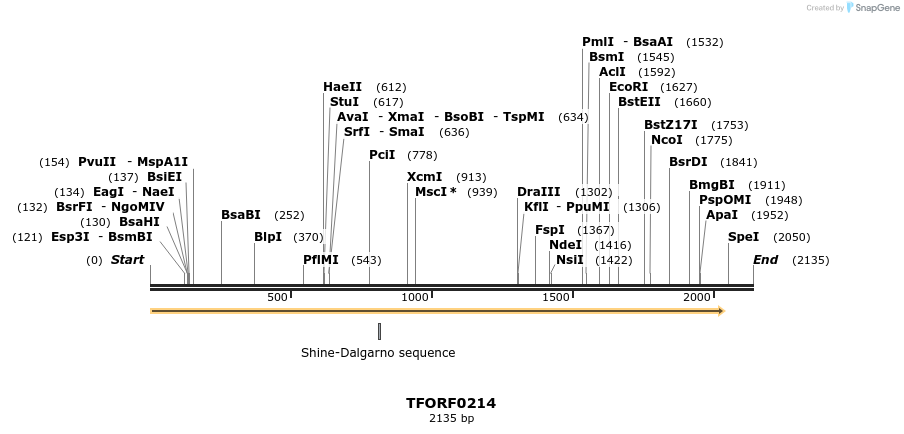 279596_map