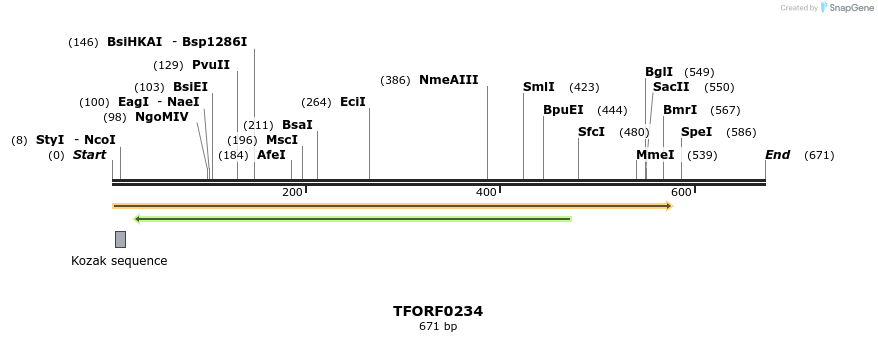 279599_map