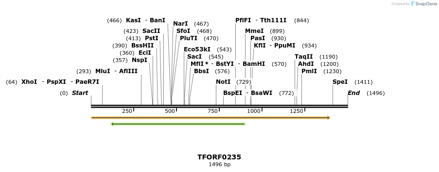 279602_map