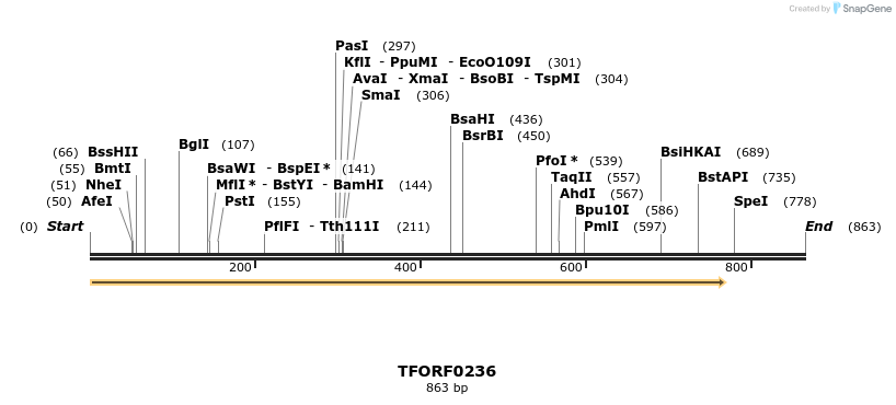 279605_map