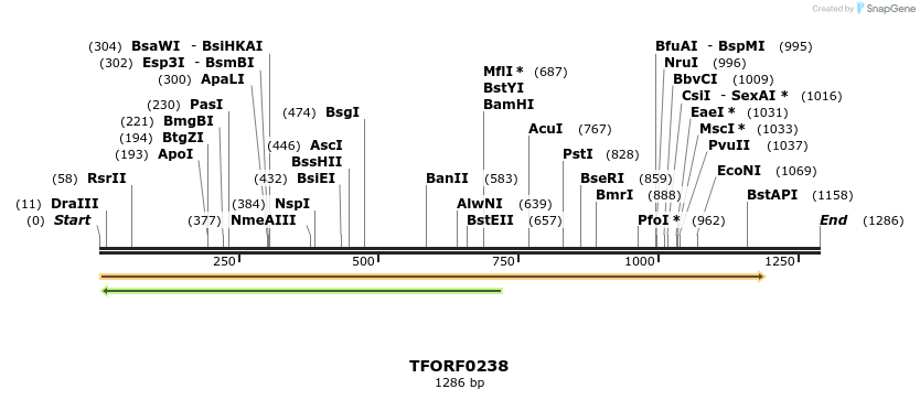 279608_map