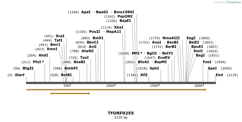 279623_map