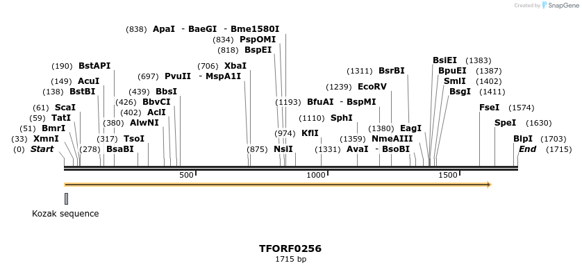 279626_map