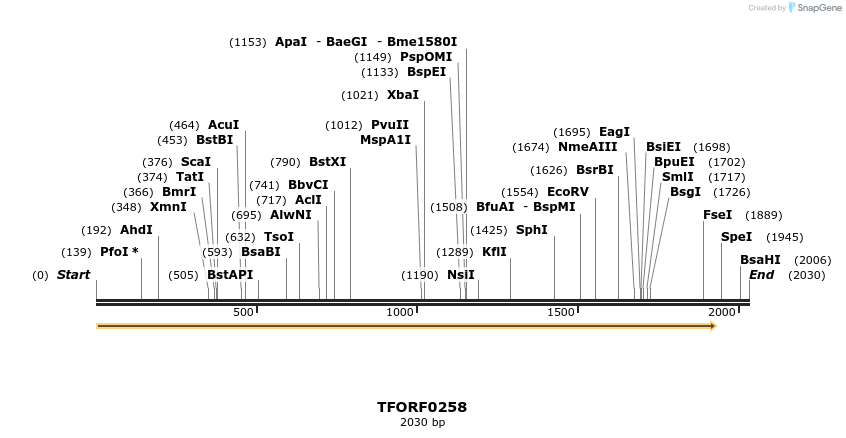 279629_map