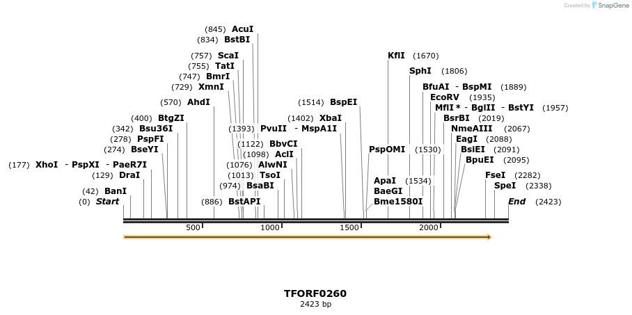 279635_map