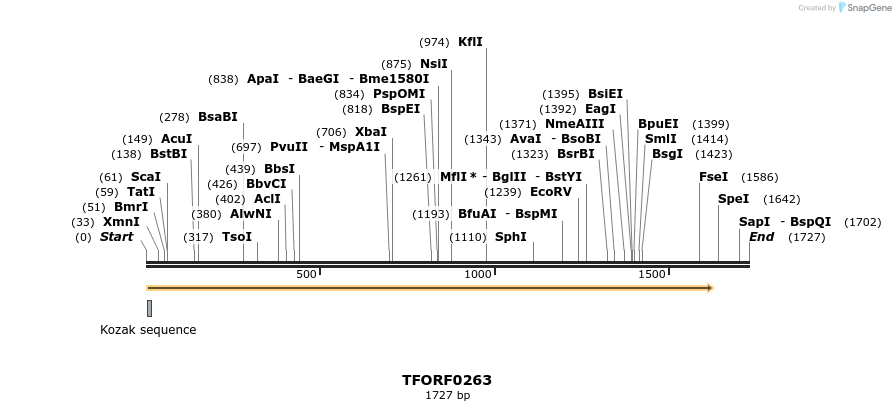 279638_map