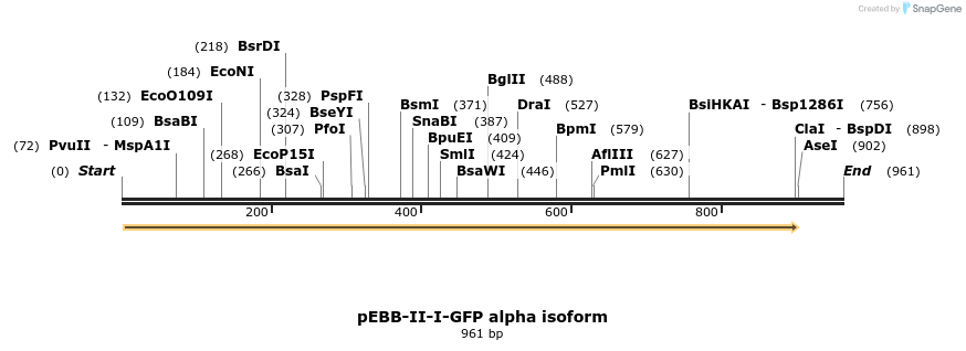 27964_map