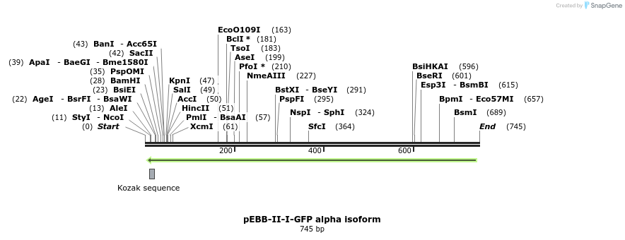 27965_map