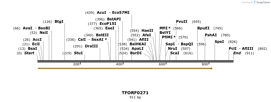 279653_map