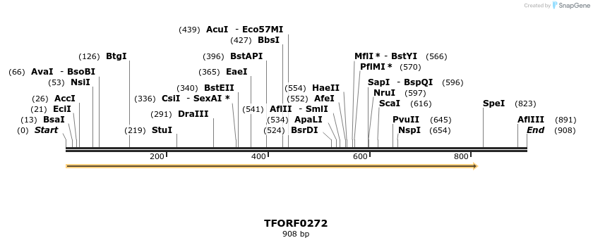 279656_map