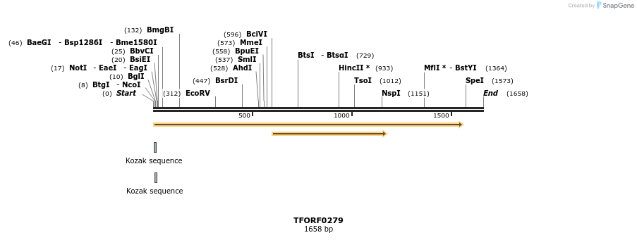 279659_map