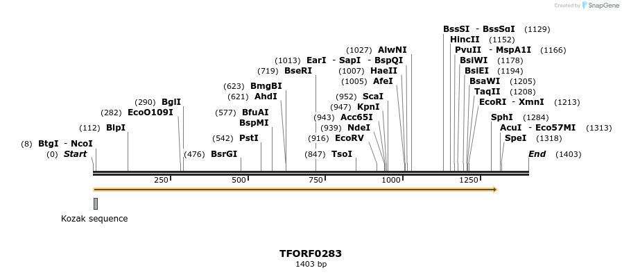 279662_map