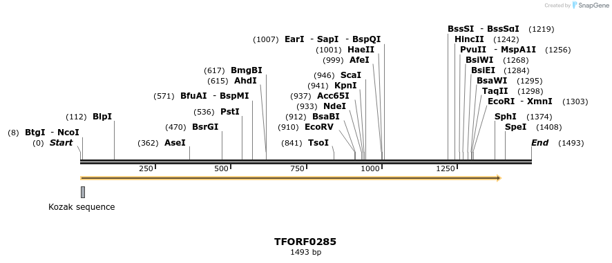 279665_map