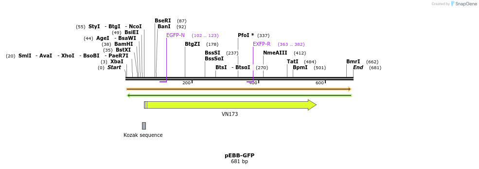 27968_map