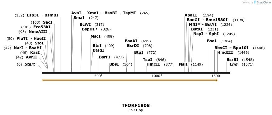 279686_map