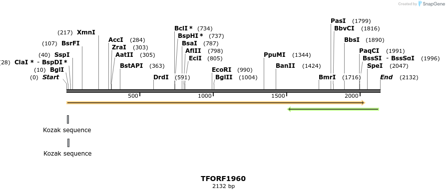 279689_map