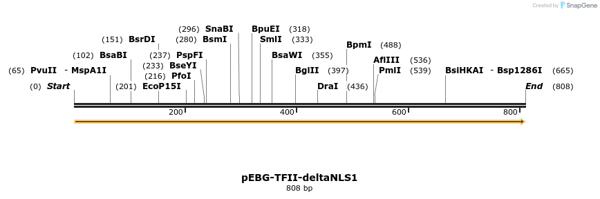 27969_map