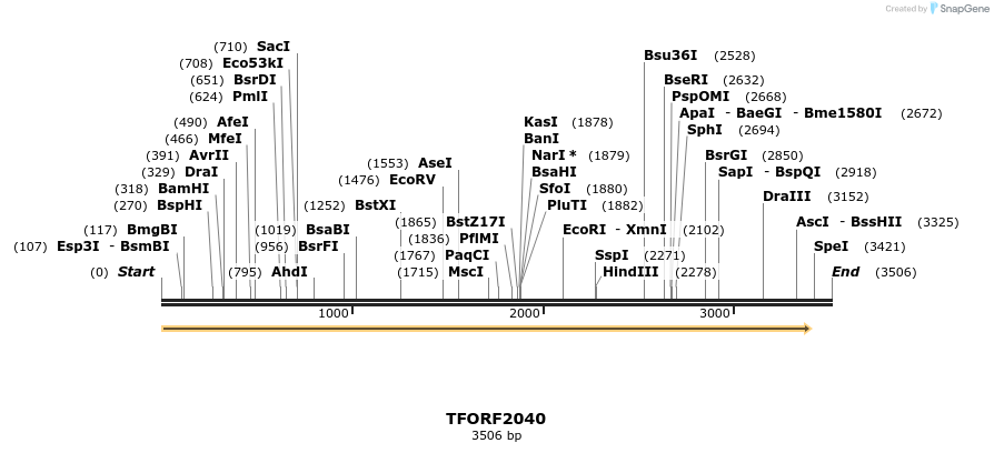 279704_map