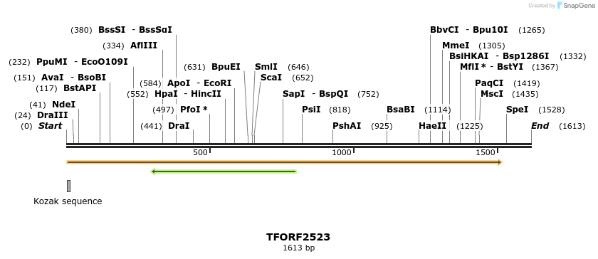 279707_map